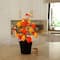 2ft. Pre-Lit Autumn Maple Artificial Fall Tree with 24 Warm White LED & Pumpkin Shaped Lights with Detachable Base